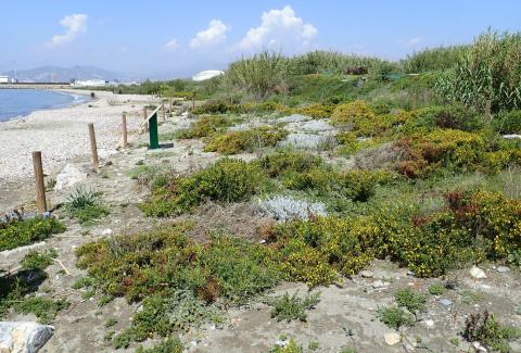 IU-Verdes Equo anuncia la puesta en marcha de un plan de actuaciones anual para mejorar las playas de Motril y su entorno